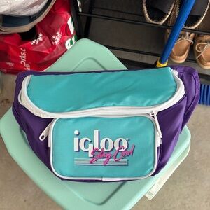 Igloo Teal and Purple Hip Pack